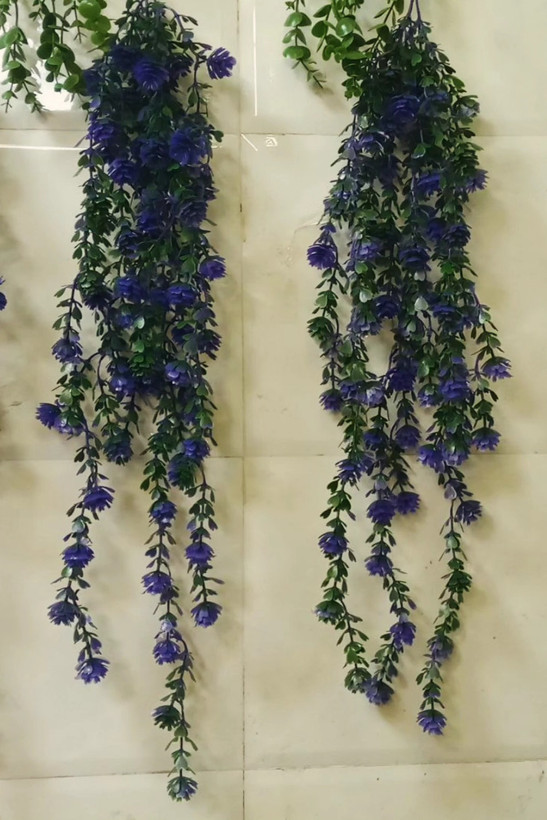 شمشاد رنگی