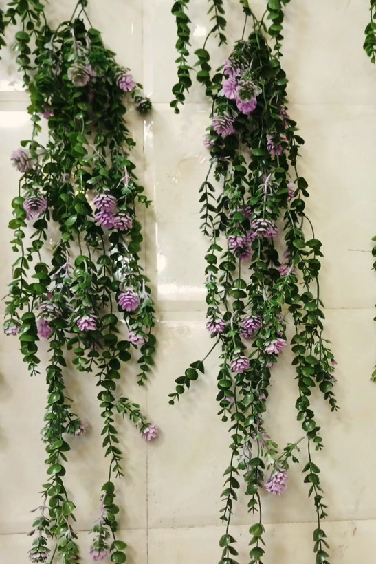 شمشاد رنگی